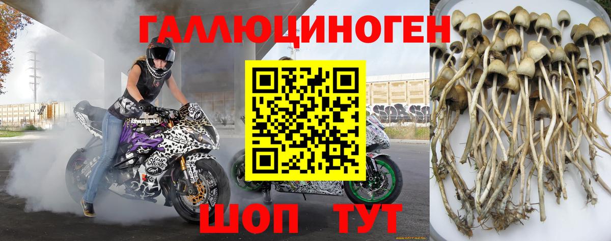 Галлюциногенные грибы прущие грибы  Галлюциногенные грибы MAGIC MUSHROOMS  Алапаевск  Вход с VPN 