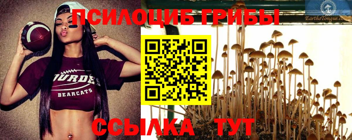 Галлюциногенные грибы прущие грибы Алапаевск